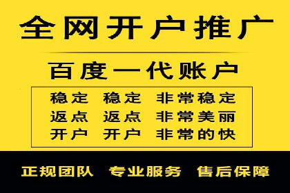 SEM推广实战：案例分析与优化